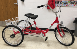 life skills bike 2